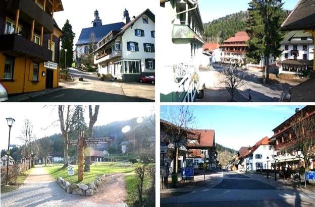 Hotel-Pension Waldeck Todtmoos Dış mekan fotoğraf