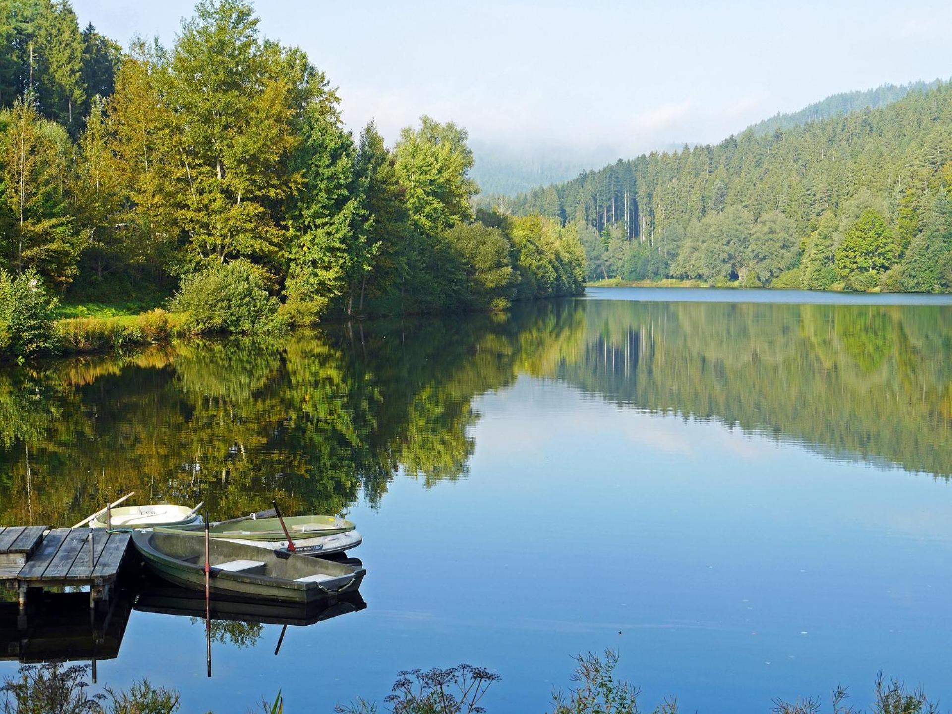 Hotel-Pension Waldeck Todtmoos Dış mekan fotoğraf